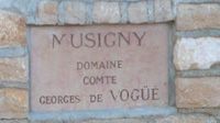 Domaine Comtes de Vogue